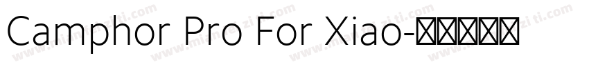 Camphor Pro For Xiao字体转换